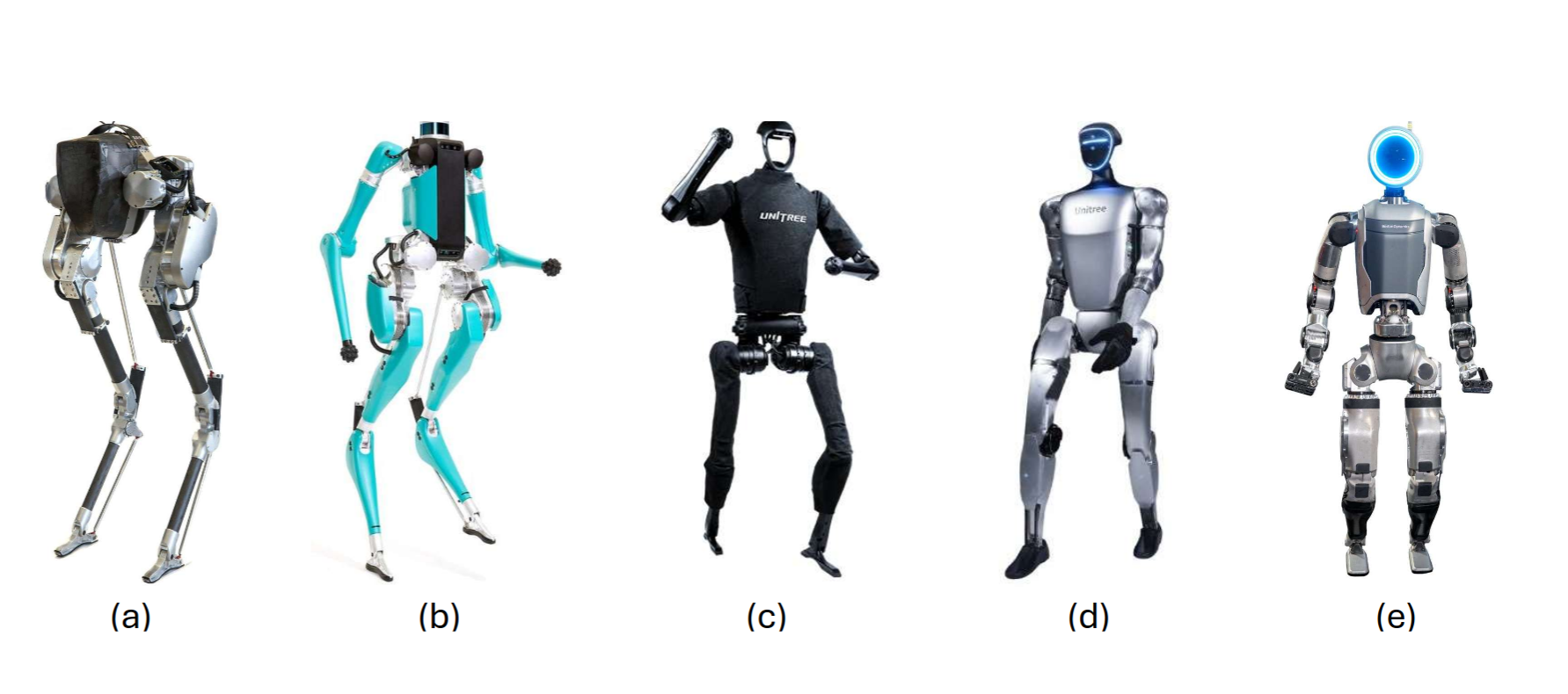 DRL_survey.png