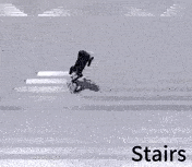 motion_priors.gif